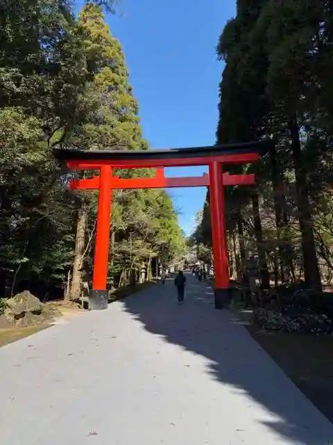 霧島神宮(鹿児島県)
