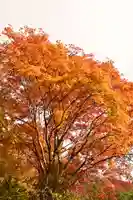 金剛寺(高知県)