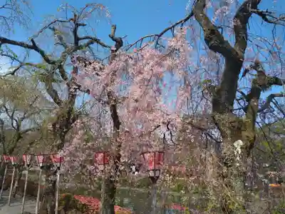 三嶋大社(静岡県)