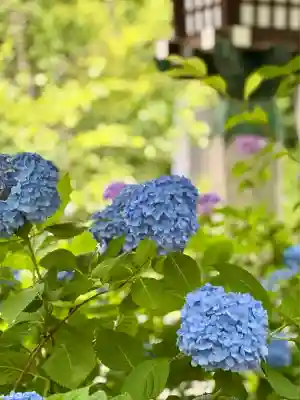 愛知縣護國神社(愛知県)