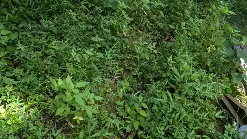 観音堂の山門・神門