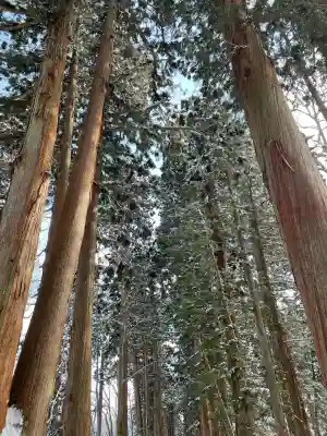 戸隠神社中社(長野県)