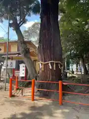 息栖神社(茨城県)