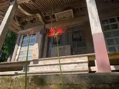 瘡守稲荷の本殿・本堂