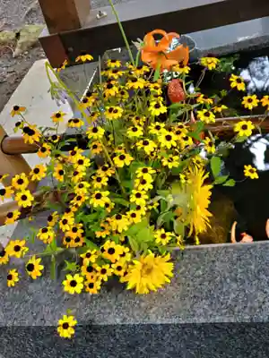 高司神社〜むすびの神の鎮まる社〜(福島県)