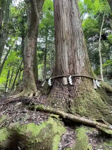 貴船神社奥宮(京都府)