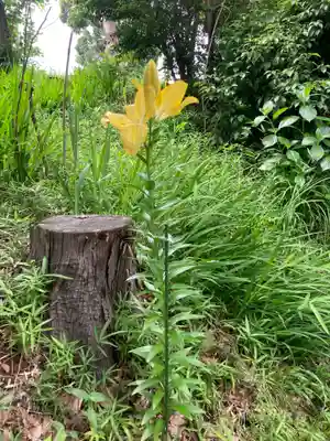 北金目神社(神奈川県)
