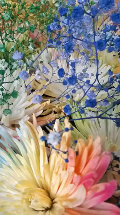 札幌諏訪神社の手水舎