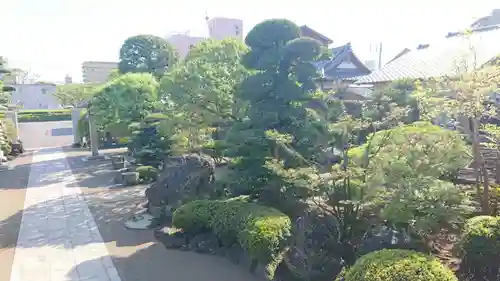 本光寺の庭園