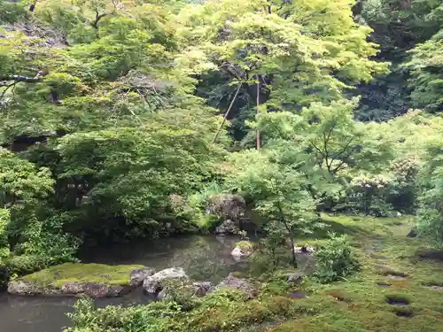 実相院門跡の庭園