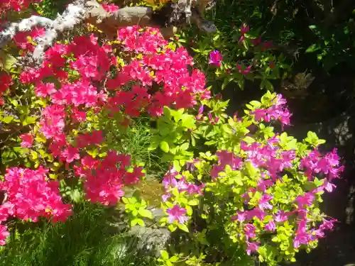 浄光明寺の自然