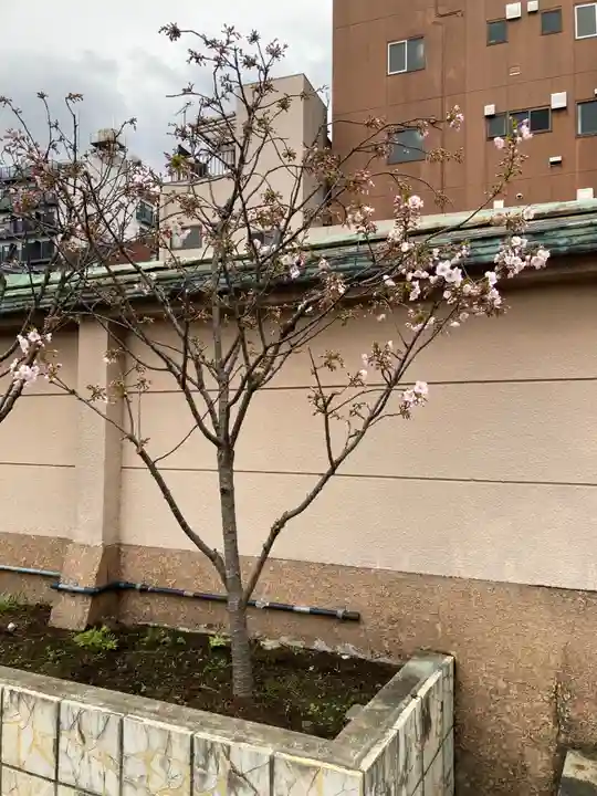 鷲神社(東京都)