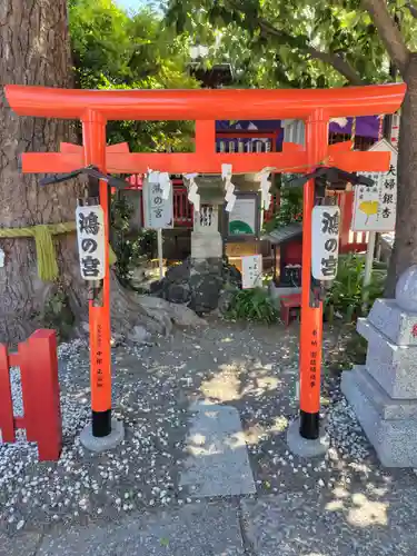 鴻神社(埼玉県)