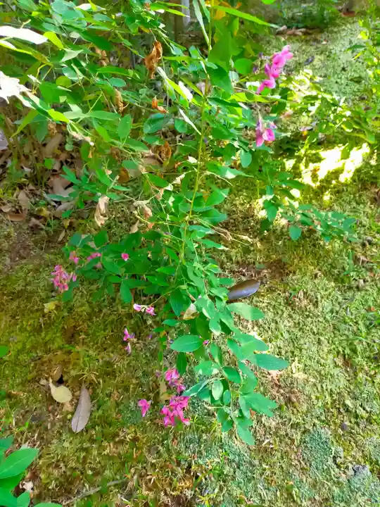 秋篠寺(奈良県)