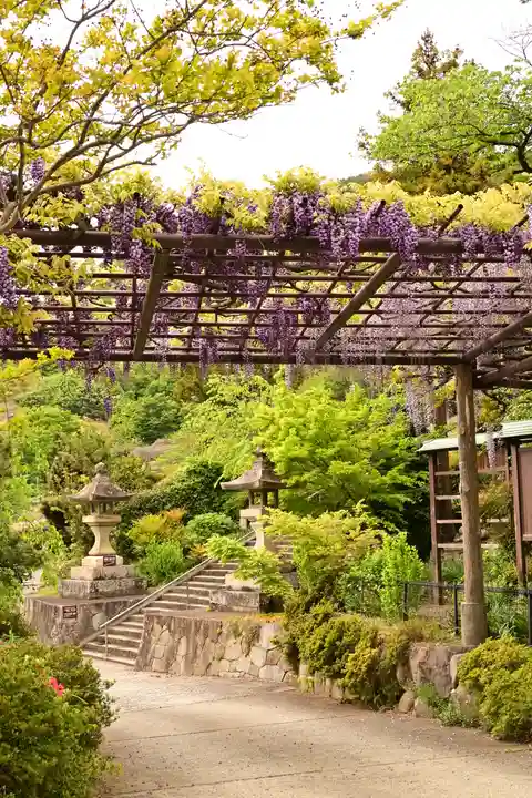 大善寺(山梨県)