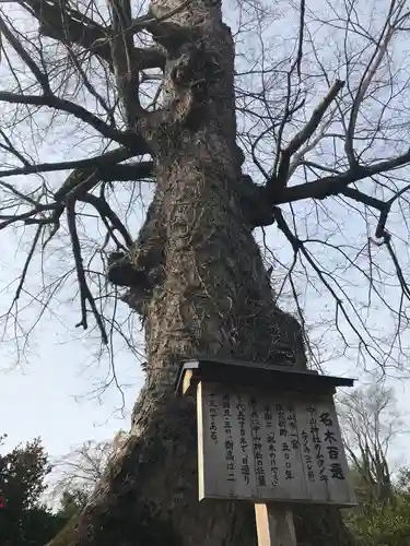 中山神社の自然