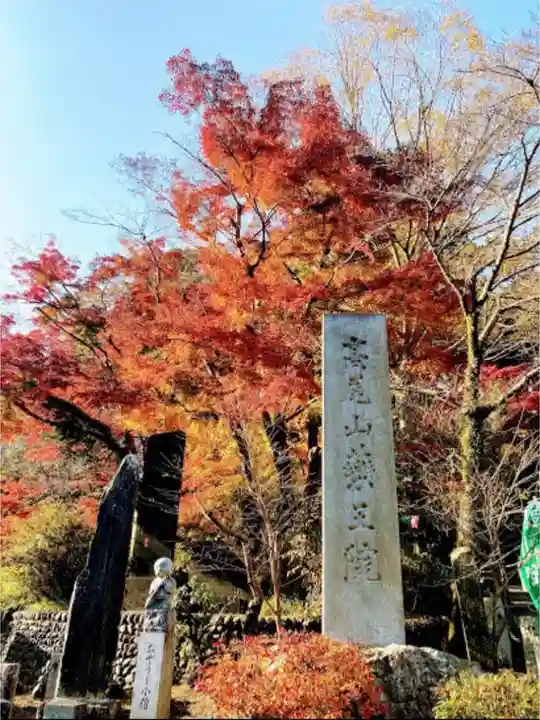 高尾山薬王院のその他建物