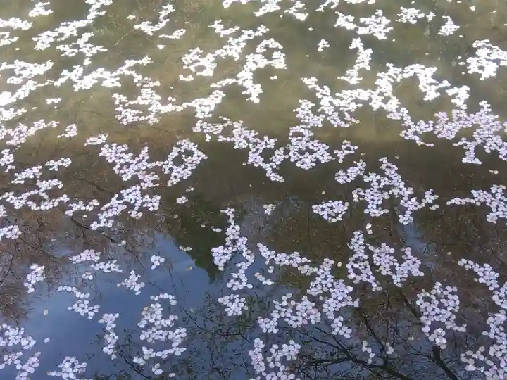 常照皇寺(京都府)