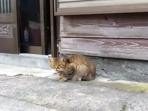 奥津比咩神社(石川県)