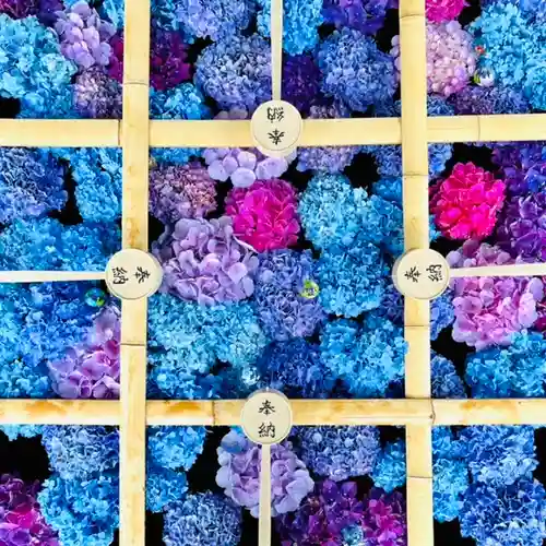 土津神社｜こどもと出世の神さまの手水舎