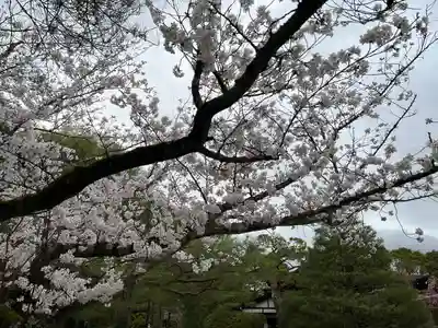 平安神宮(京都府)