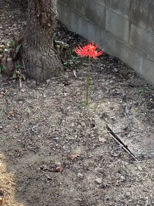 若宮神社の自然