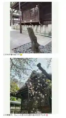 熊野神社(東京都)