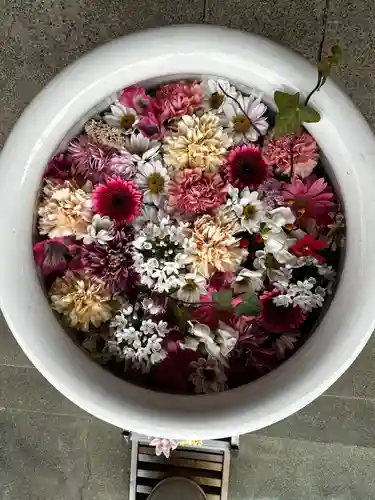 徳島眉山天神社(徳島県)