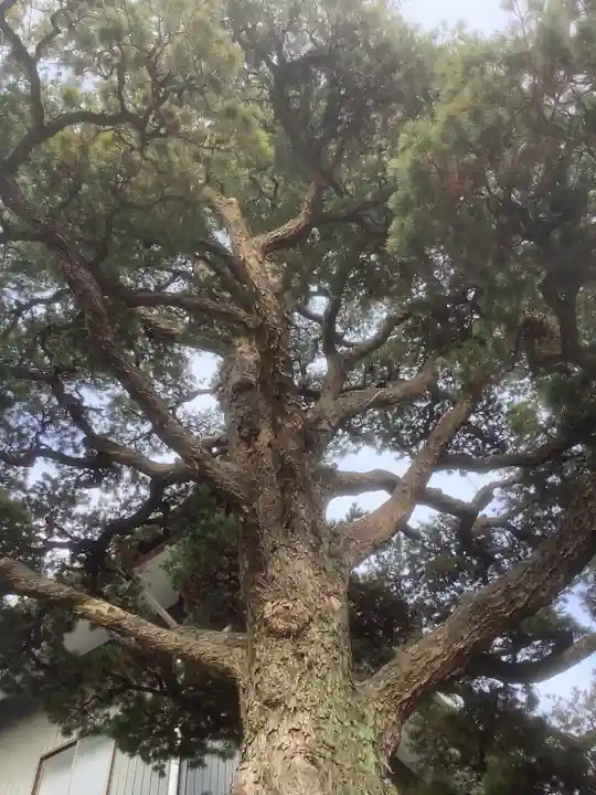 寳珠院(常楽寺)の庭園