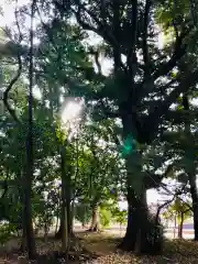 日枝神社(茨城県)