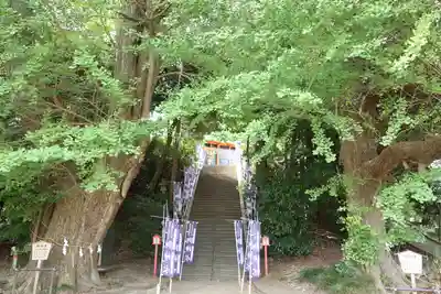浅間神社(千葉県)
