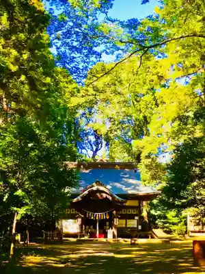 成田熊野神社の本殿・本堂