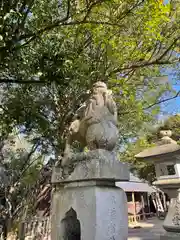 高屋神社の狛犬