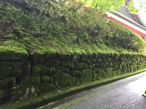 比叡山延暦寺の自然