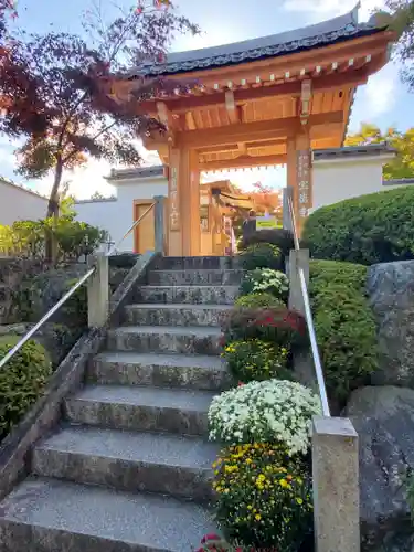 宝徳寺の山門