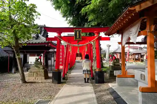 於菊稲荷神社の鳥居