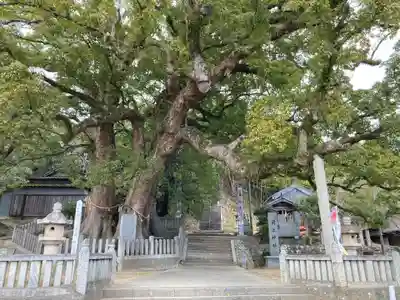 岡上神社(徳島県)