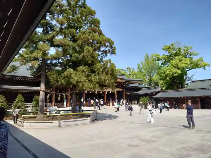 寒川神社(神奈川県)