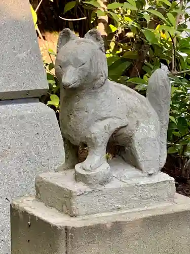 金澤神社の狛犬