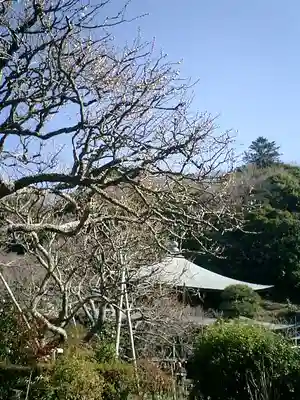 瑞泉寺のその他建物