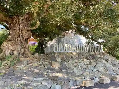 筑波山大御堂(茨城県)