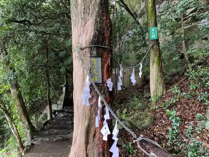 岩屋神社(高知県)