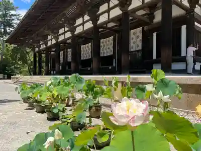 唐招提寺(奈良県)
