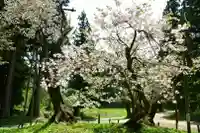 磐椅神社の自然