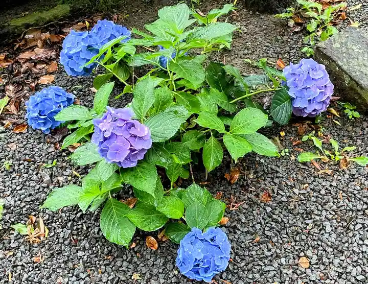五所神社(神奈川県)