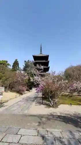 仁和寺の塔