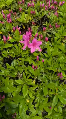 上宮王院聖徳寺(京都府)