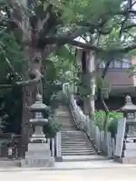 垂水神社の自然