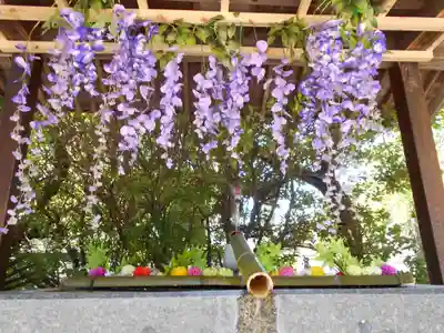 四倉諏訪神社(福島県)