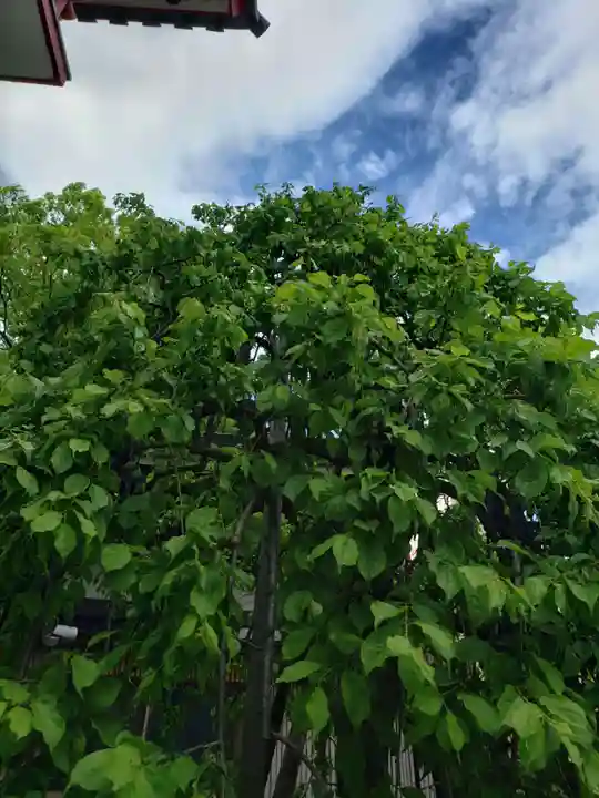 成願寺(東京都)
